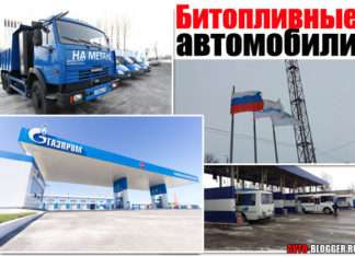 Біопаливні автомобілі. Вибираємо друге паливо для свого «сталевого коня»