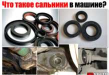 Що таке сальники. Стосовно до машини. Читай, запамятовуй