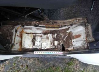 На сітроені джампері замінили логотип і намагалися видати за фіат дукато. Як лідські експерти розкрили підміну?