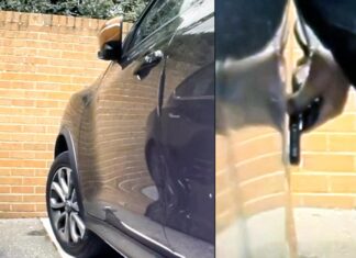 Камери tesla допомогли “зловити” жінку, що подряпала електрокар