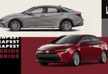 10 доступных гибридов на 2025 год