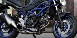 Suzuki’s Unkillable V-Twin: A 25-Year Legacy of Reliability