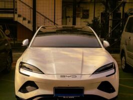 Chinese EVs in the UK: A Buyer’s Guide to BYD, Leapmotor, and New Brands