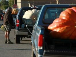 Understanding Vehicle Payload Capacity and Safety Limits
