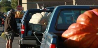 Verständnis der Nutzlastkapazität und Sicherheitsgrenzen von Fahrzeugen