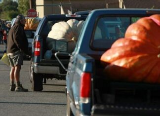 Розуміння вантажопідйомності автомобіля та меж безпеки