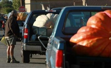 Розуміння вантажопідйомності автомобіля та меж безпеки