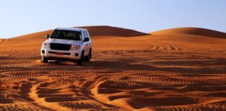 The 10 Longest-Lasting SUVs That Defy Mileage Limits